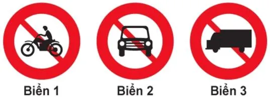 Học bằng lái xe máy